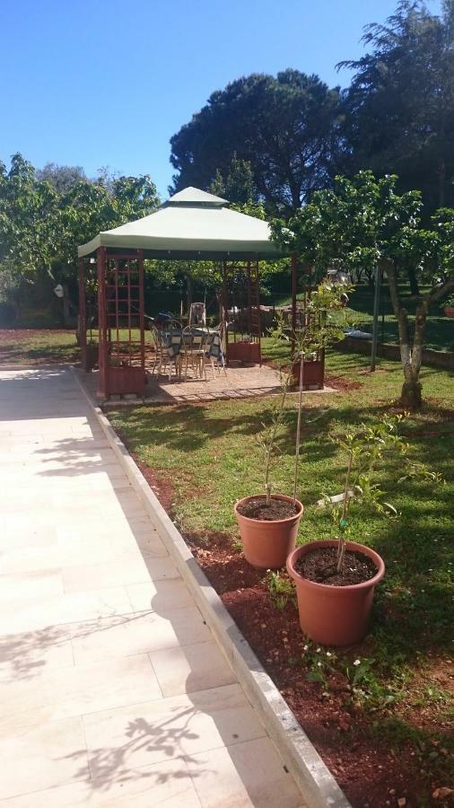 Apartment Sara Ουμάγκ Εξωτερικό φωτογραφία