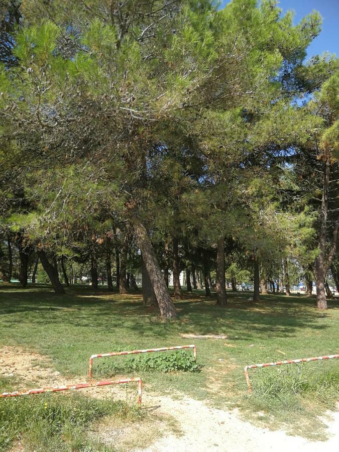 Apartment Sara Ουμάγκ Εξωτερικό φωτογραφία
